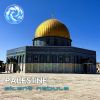 Download track Echoes Of Palestine