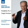 Download track Symphony No. 1 In C Minor, Op. 68: IV. Adagio - Più Andante - Allegro Non Troppo Ma Con Brio