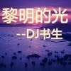 Download track 黎明的光 (伴奏)