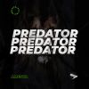Download track Predator (Radio Edit)