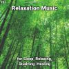 Download track Relaxation Music, Pt. 53