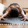 Download track Pilates Workout Music