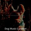 Download track Sensational Music For Cute Dogs