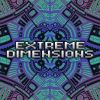 Download track Tenth Dimension (Original Mix)