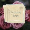 Download track Rain Sounds - Zen Rain