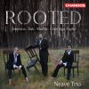 Download track Five Negro Melodies For Piano Trio: IV. They Will Not Lend Me A Child