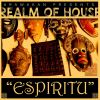 Download track Espiritu (Spirit Drum Mix)