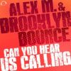 Download track Can You Hear Us Calling (Original Mix)