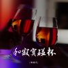 Download track 和寂寞碰杯 (DJBanan版)