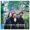 Download track Piano Trio No. 2 In F Major, Op. 80: III. In Mässiger Bewegung