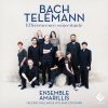 Download track 04 Telemann - Concerto For Oboe, Violin, Two Flutes And Cont. In B♭, TWV 54B1 I. Largo