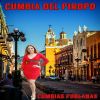 Download track La Cumbia De La Venada