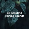 Download track 30 Beautiful Raining Sounds, Pt. 21