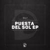 Download track Puesta Del Sol (Original Mix)
