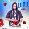 Download track Ludo