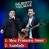 Download track Meu Primeiro Amor (Ao Vivo)