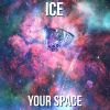 Download track Your Space