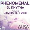 Download track Phenomenal (Mr. Lambert's Remix)