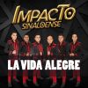 Download track La Vida Alegre