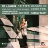 Download track Britten Violin Concerto, Op. 15 III. Passacaglia. Andante Lento (Un Poco Meno Mosso) (Live)