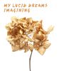 Download track Imagining