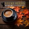 Download track Autumn Cafe And Whispers