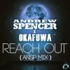 Download track Reach Out (ANSP Mix)