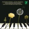 Download track The Four Seasons Of Buenos Aires: I. Verano Porteño