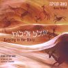 Download track L\'cha Dodi – Facing Shabbat