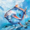 Download track Moonfish (Opah)