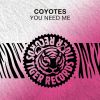 Download track You Need Me (Radio Edit)