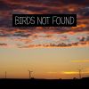 Download track Birds Not Found