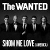 Download track Show Me Love (America) (Younger Remix)