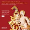 Download track 16. Weihnachtsoratorium BWV 248- Rezitativ- Und Das Habt Zum Zeichen