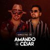 Download track Saudade De Rosa