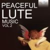 Download track Sonata For Lute Solo In B-Flat Major- IV. Aria