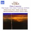 Download track Sonata For Flute And Alto Flute Solo: II. Lidojums (Flight): Agitato