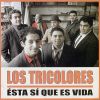 Download track Son Viejos Recuerdos