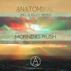 Download track Morning Rush (Extended Mix)