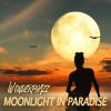 Download track Moonlight In Paradise (Late Night Chill Out)