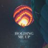 Download track Holding Me Up (Extended Mix)