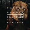 Download track Pray To God (Calvin Harris Vs Mike Pickering Hacienda Remix)