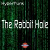 Download track The Rabbit Hole (CC Rock's Real World Remix)