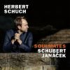 Download track Schubert: 4 Impromptus, Op. 90, D. 899 - No. 3 In G-Flat Major. Andante
