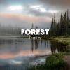 Download track Forest River