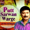 Download track Putt Sarwan Warge