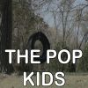 Download track The Pop Kids - Tribute To Pet Shop Boys (Radio Edit; Instrumental Version)