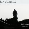 Download track IN A DEAD DREAM - Wildness