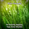 Download track Curing Rain Sound