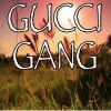 Download track Gucci Gang - Tribute To Lil Pump